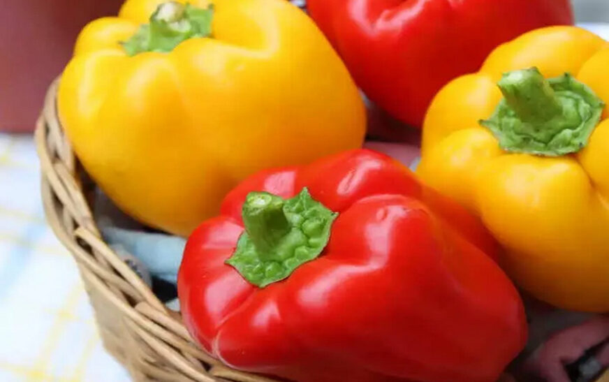 Bell Peppers: A Nutritional and Culinary Delight