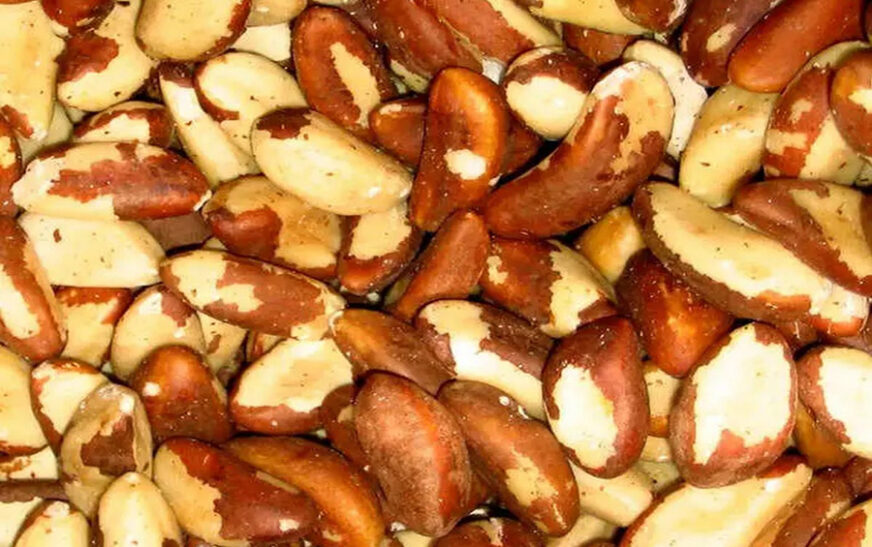Brazil Nuts: Nature’s Nutritional Marvel and Culinary Delight